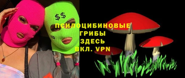 бошки Переславль-Залесский