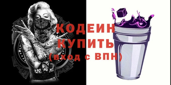 прущие грибы Лабытнанги