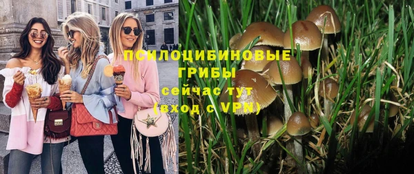 соль курить ск Алзамай