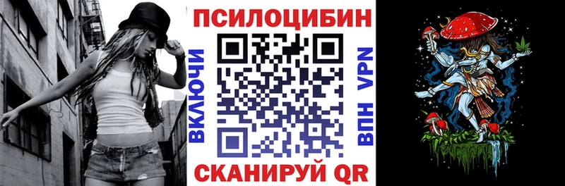 дарнет шоп  Мосальск  Псилоцибиновые грибы Psilocybe 