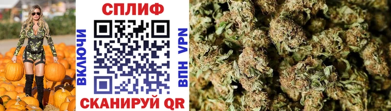 площадка наркотические препараты  MEGA ссылки  Бошки Шишки планчик  Мосальск  купить  